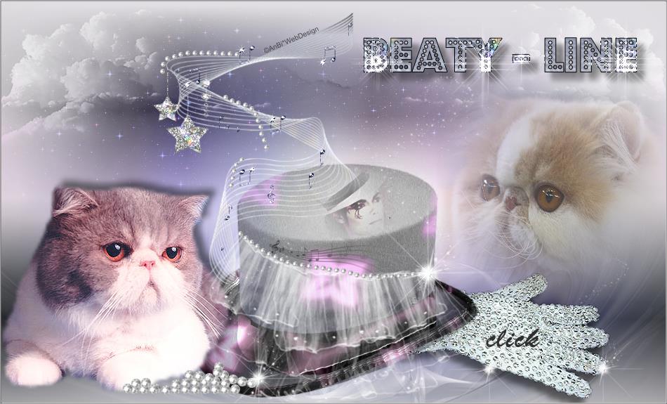 Welcome at Beaty-Line persians and Exotic-Shorthair